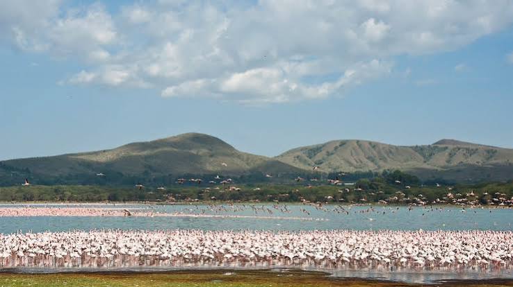 Lake Naivasha