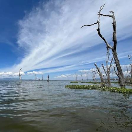 Lake Nakuru