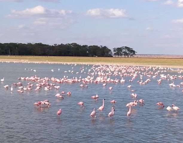 Lake Nakuru