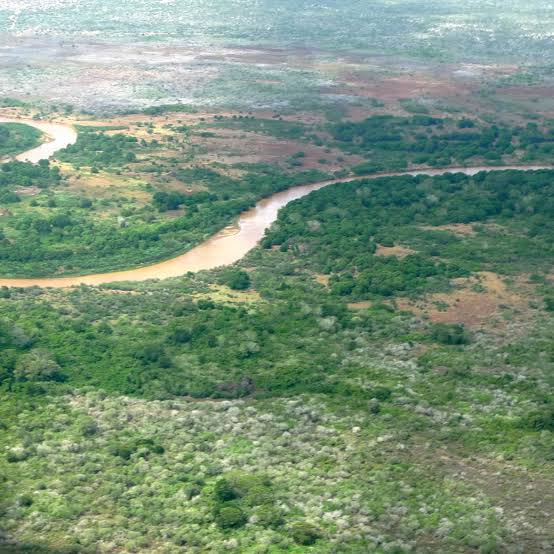 Tana River