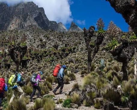 Mount Kenya