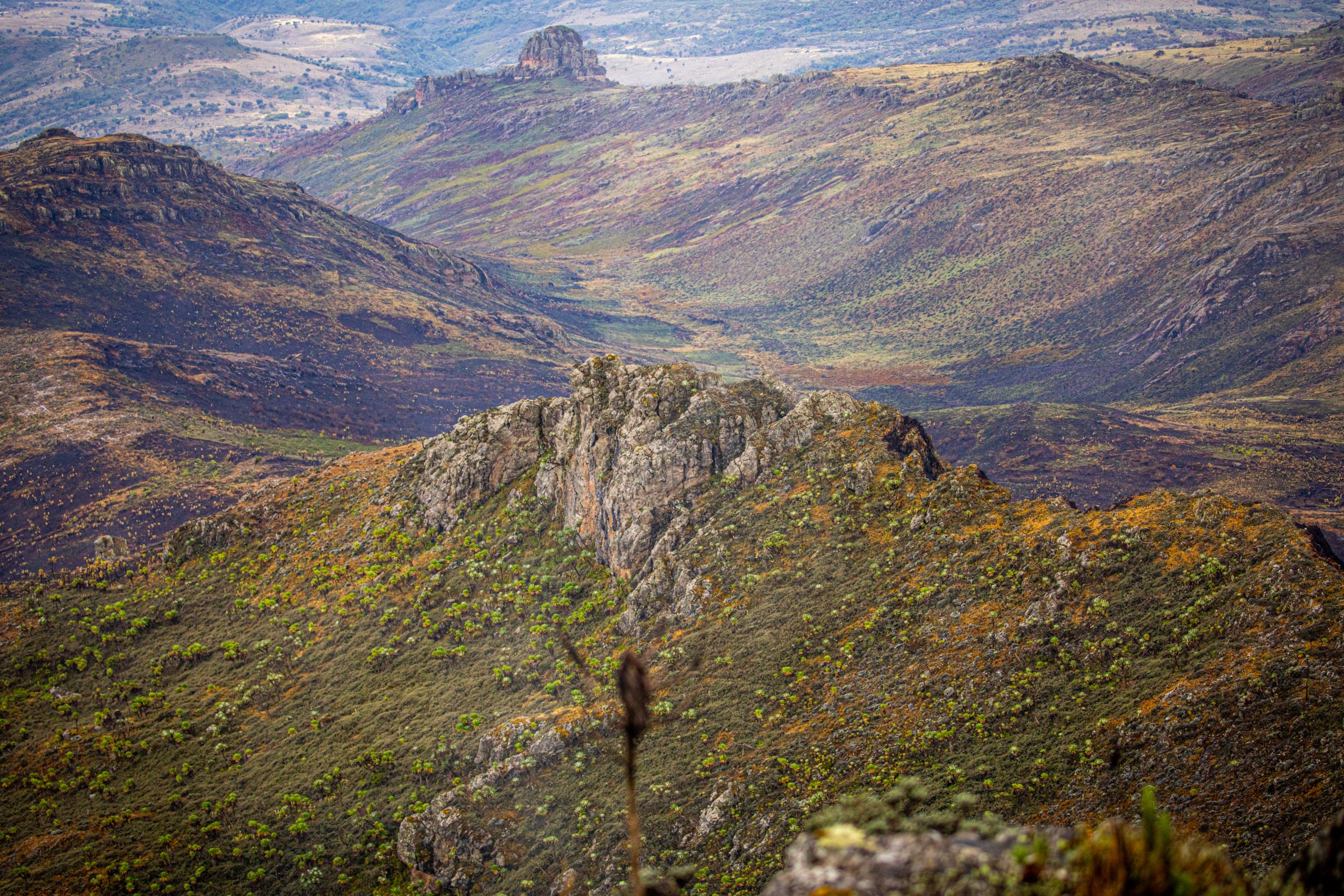 Mount Elgon
